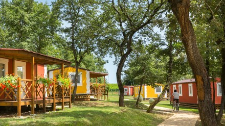 Mobilheime des Aminess Maravea Camping Resort zwischen Bäumen