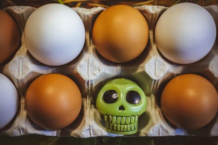 Ein Eierkarton in dem sich neben Eiern auch ein Totenkopf befindet