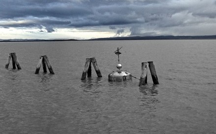 Weinboje von Fabian Sloboda im Neusiedler See