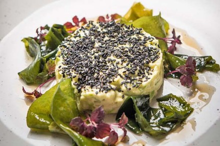 Avocado Tatar mit Walnuss Vinaigrette und Crostini auf einem Teller angerichtet