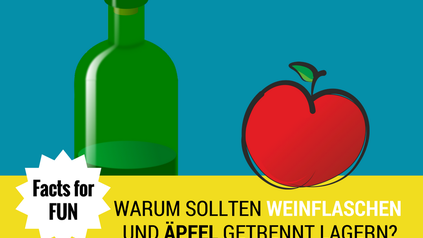 Facts for fun warum sollten Weinflaschen und Äpfel getrennt lagern?
