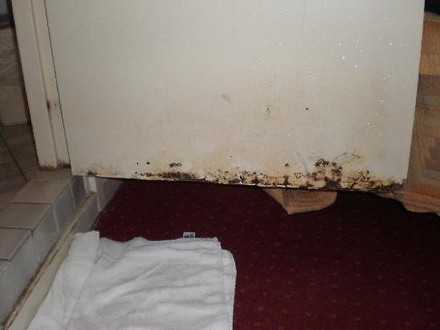 Schimmel in einem Hotelzimmer