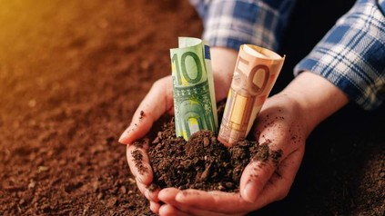 Euroscheine stecken in der Erde