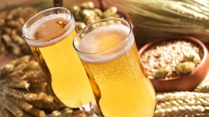 Pils Bier und Getreide