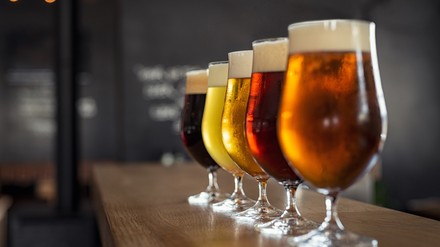 Mehrere Gläser Bier an einer Theke