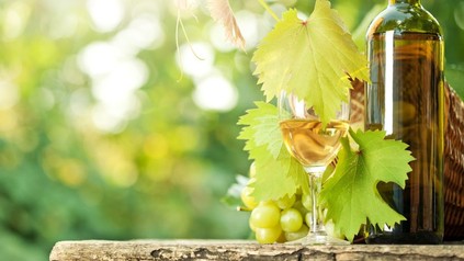 Ein Glas mit Wein und eine Weinflasche vor Weintrauben