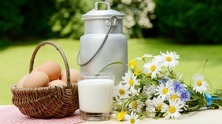 Milchprodukte und Ostereier sollen teurer werden