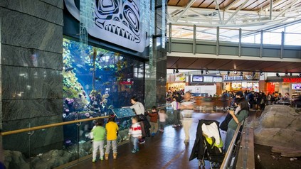 Aquarium am Vancouver International Airport