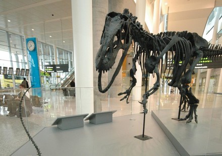 Dinosaurierskelett am Flughafen in Toronto