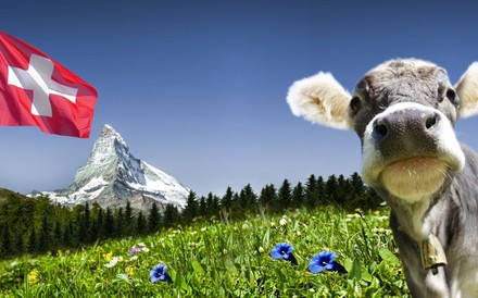 Eine Wiese in den Schweizer Bergen mit einer Kuh