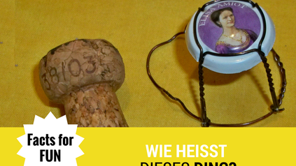 Facts for fun wie heißt dieses Ding?