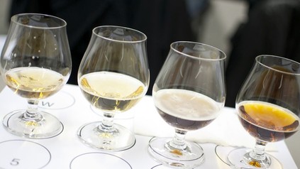 Gläser halb gefüllt mit Bier