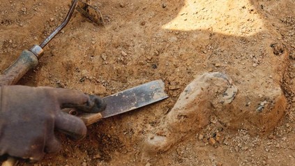 Eine Hand, die vorsichtig mit Werkzeugen an einer Ausgrabung arbeitet