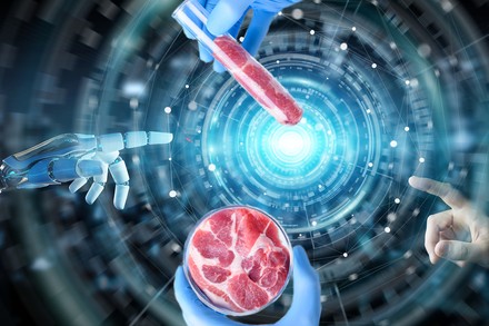 Künstliches Fleisch in einem Reagenzglas und in einer Petrischale