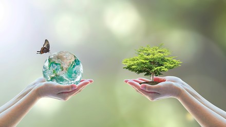 Zwei Hände halten einen kleinen Baum und eine Weltkugel