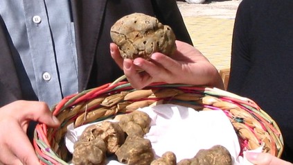 Korb mit weißen Trüffeln