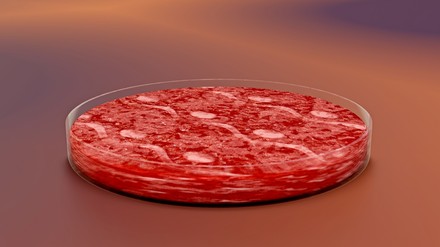 Fleisch aus der Petrischale