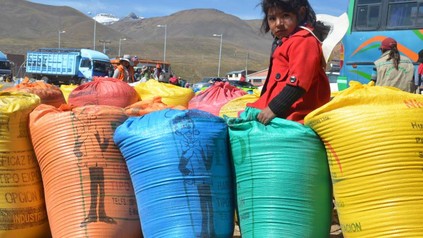 Quinoa Bolivien