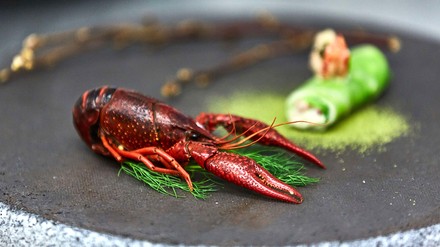 Ein Hummer auf einem Teller