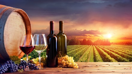 Weingläser, Weinflaschen und Weinbaugebiet