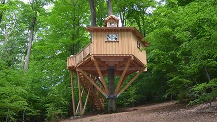 Baumhaushotel Solling