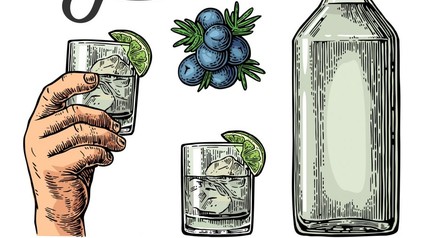 Gin Zeichnung