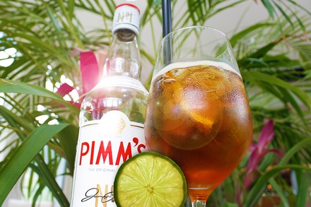 Ein Pimms Cup