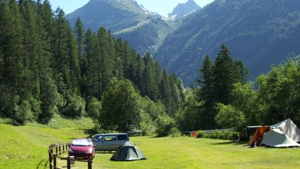 Camper auf Wiese