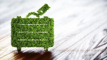 Ein Reisekoffer, der mit Gras bewachsen ist