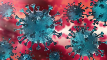 Corona Virus im Inneren des Körpers