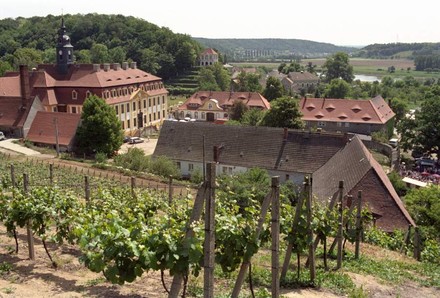 Weingut