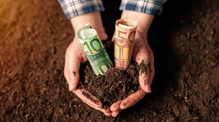 Ein Landwirt mit Geld